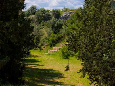 ...e alberi sempreverdi si profuma un�aria pura, in una natura rimasta immacolata